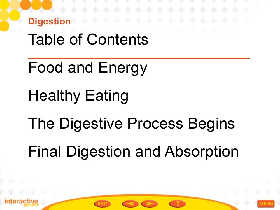 Process of Digestion and Absorption after eating a hamburger Essay Sample